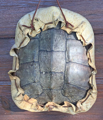 Snapping Turtle Drum